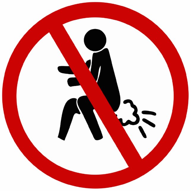 KEIN Farnzeichen ⚠ Funny Thai Toilet ⚠ Freistehende Fotoskulptur (Vorne)