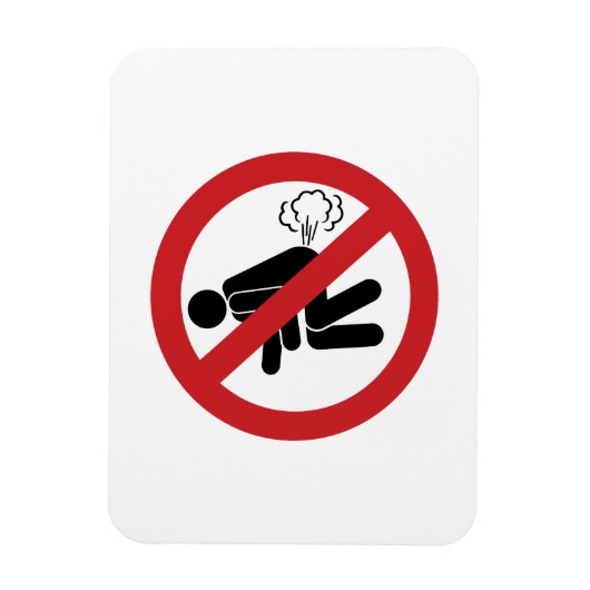 KEIN Farnzeichen ⚠ Funny Thai Toilet ⚠ Magnet (Vertikal)