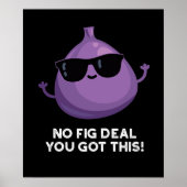 Kein Fig Deal Ich Got diese lustige Frucht Pun Dar Poster (Vorne)