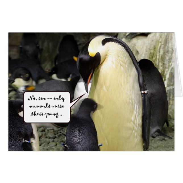 Kein freier Mittagessen-Pinguin (Vorderseite (Horizontal))