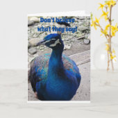 KEIN GEMEINER, PEACOCK FREUNDLICH UND SAGT GLÜCKLI KARTE (Gelbe Blume)