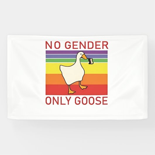 Kein Geschlecht nur Gänse ohne Binar LGBTQ Banner (Horizontal)