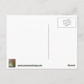 Kein Gluten/Weizen frei! Postkarte (Rückseite)