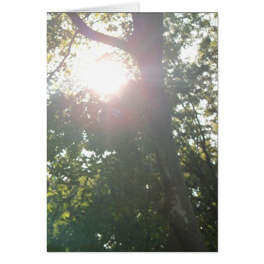 Kein guter Grund (Vorne)