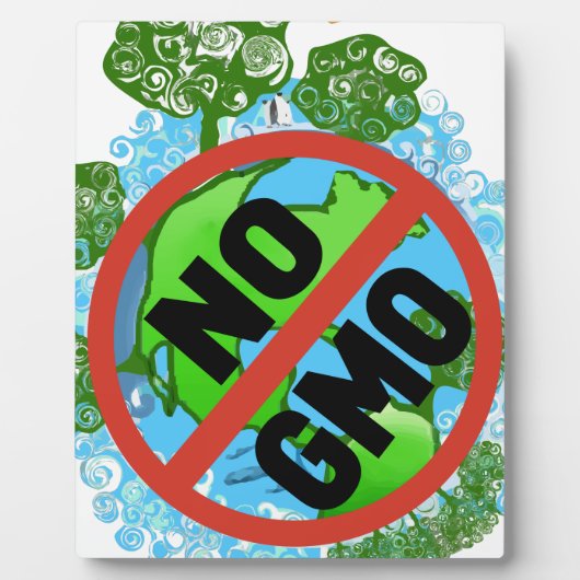 KEIN GVO FOTOPLATTE (Vorderseite)