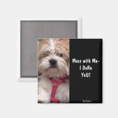 Kein Hund, sondern ein Hund Magnet (Vorderseite/Rückseite)