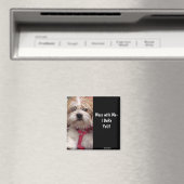 Kein Hund, sondern ein Hund Magnet (In Situ (Geschirrspüler))