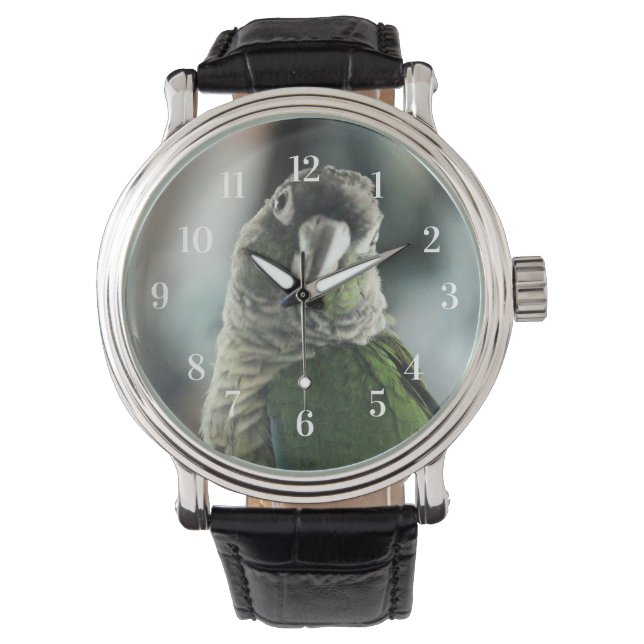 Kein Igel mehr Armbanduhr (Vorderseite)