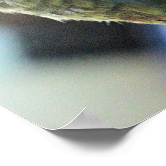 Kein Igel mehr Poster (Ecke)