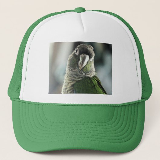 Kein Igel mehr Truckerkappe (Vorderseite)