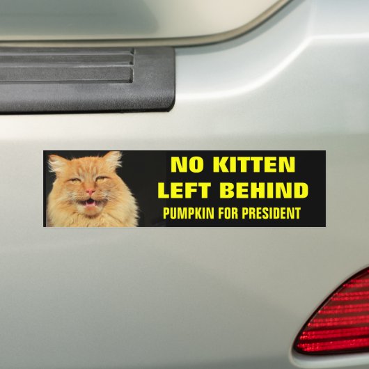 Kein Kätzchen verlassen hinter mutigem Autoaufkleber (Auf Auto)