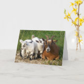 KEIN KIND AM GEBURTSTAG KARTE (Gelbe Blume)