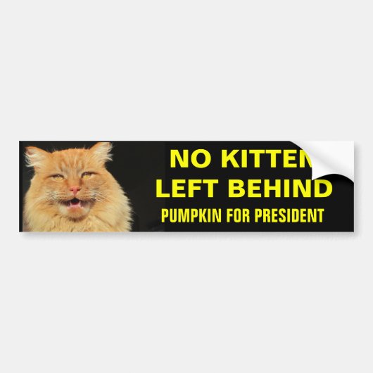 Kein Kitten Verlassen hinter 2 Autoaufkleber (Vorne)