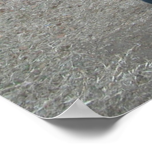 Kein Krieg Poster (Ecke)