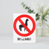 Kein Llamas Postkarte (Stehend Vorderseite)