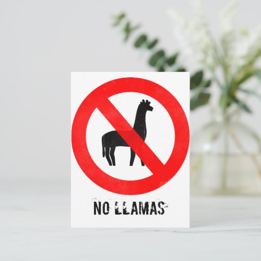 Kein Llamas Postkarte (Stehend Vorderseite)