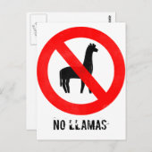 Kein Llamas Postkarte (Vorne/Hinten)