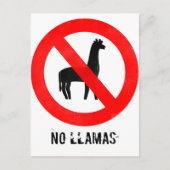 Kein Llamas Postkarte (Vorderseite)