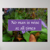 Kein Mensch ist immer weise Poster (Vorne)