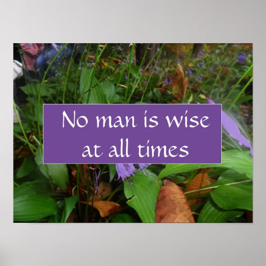 Kein Mensch ist immer weise Poster (Vorne)