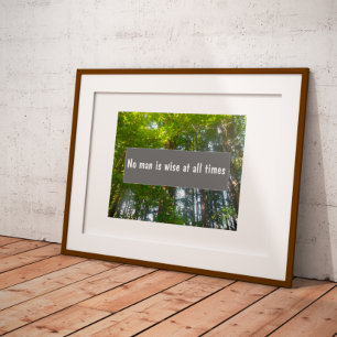 Kein Mensch ist zu allen Zeiten weise Sprichwort P Poster