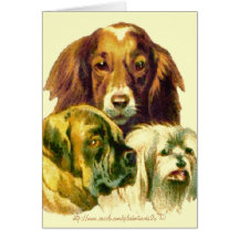 "Kein Mensch könnte dich so sehr Liebe geben wie i