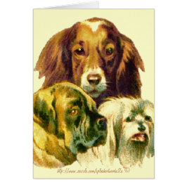 "Kein Mensch könnte dich so sehr Liebe geben wie i