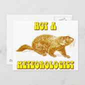 Kein Meteorologe Groundhog Postkarte (Vorne/Hinten)