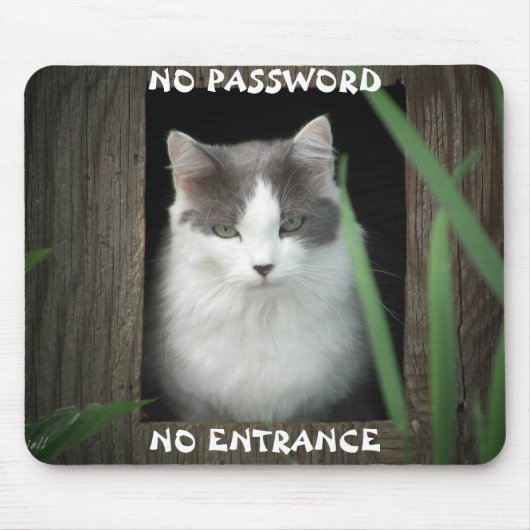 Kein Passwort kein Eingang Mousepad (Vorne)