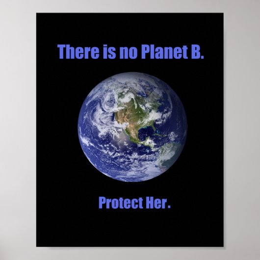Kein Planet B Poster (Vorne)