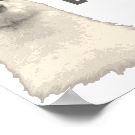 Kein Problem Lama Poster (Ecke)