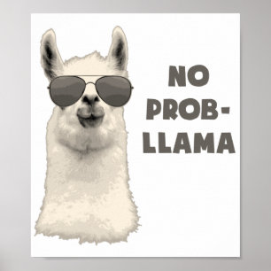 Kein Problem Lama Poster
