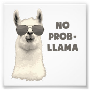 Kein Problem Llama Fotodruck