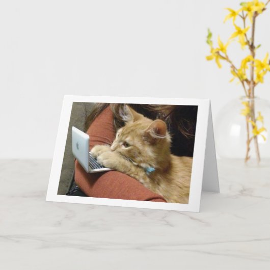 KEIN PURRING, WÜNSCHEND IHNEN EINE NUR WEIHNACHTEN KARTE (Gelbe Blume)