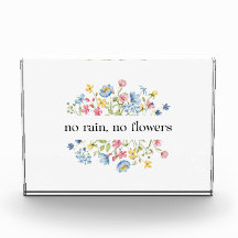 Kein Regen, keine Blume |