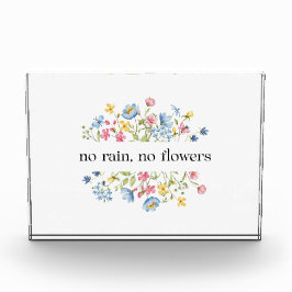 Kein Regen, keine Blume | Fotoblock