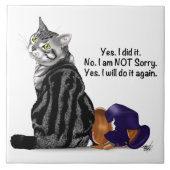 Kein Remorge Tabby Cat Funny Fliese (Vorderseite)