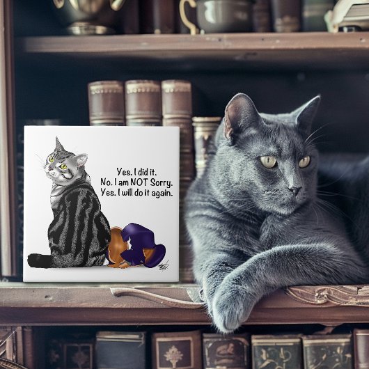 Kein Remorge Tabby Cat Funny Fliese