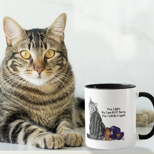Kein Remorge Tabby Cat Funny Tasse