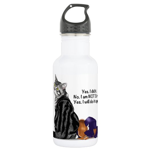 Kein Remorge Tabby Cat Funny Trinkflasche (Vorderseite)