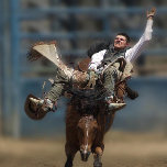 " KEIN SCHMERZ - KEIN GEWINN " ! Druck auf Keillei Leinwanddruck<br><div class="desc">" KEIN SCHMERZ - KEIN GEWINN " ! Stretched Canvas Print, ( LARGE )40X55" Wenn Sie Liebe Action Rodeo Event Reiten, Bronco Reiten ist die 8-Sekunden Reitveranstaltung, die den Wettkampf und die Erfahrung von Pferd und Reiter, um zu sehen, ob der Reiter bleibe auf dem buckligen Pferd, das dreht und...</div>