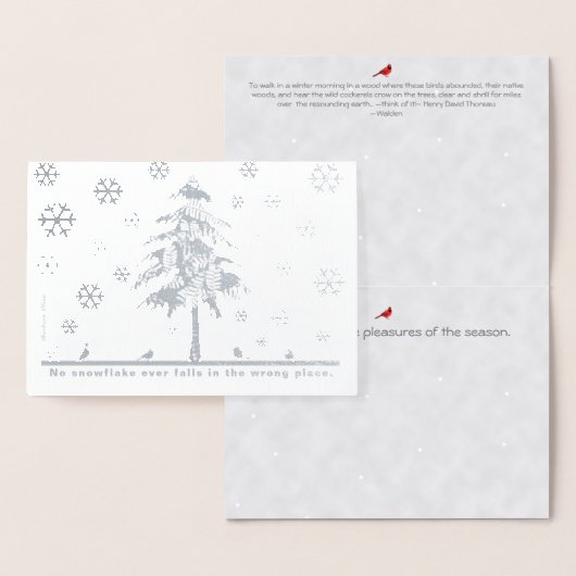 Kein Schneeflocken fällt jemals in den falschen Ur Folienkarte (Anzeige)