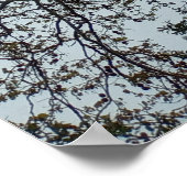 Kein Schwimmen im Baum Poster (Ecke)