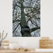 Kein Schwimmen im Baum Poster (Küche)