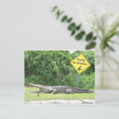 Kein Schwimmen! Postkarte (Stehend Vorderseite)