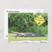 Kein Schwimmen! Postkarte (Vorne/Hinten)