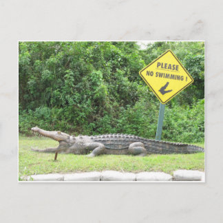 Kein Schwimmen! Postkarte