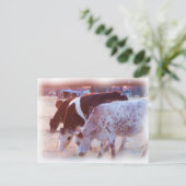 kein Stier Postkarte (Stehend Vorderseite)