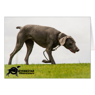 Kein stürmisches Wetter