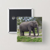 Kein Tusk Elephant Button (Vorne & Hinten)